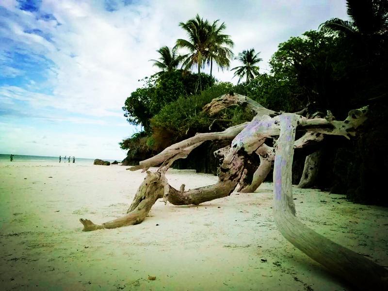 Diani Hostel Playa de Diani Exterior foto